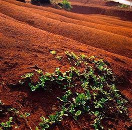 《宇宙机器人》新作开发中 未来15天内正式公布